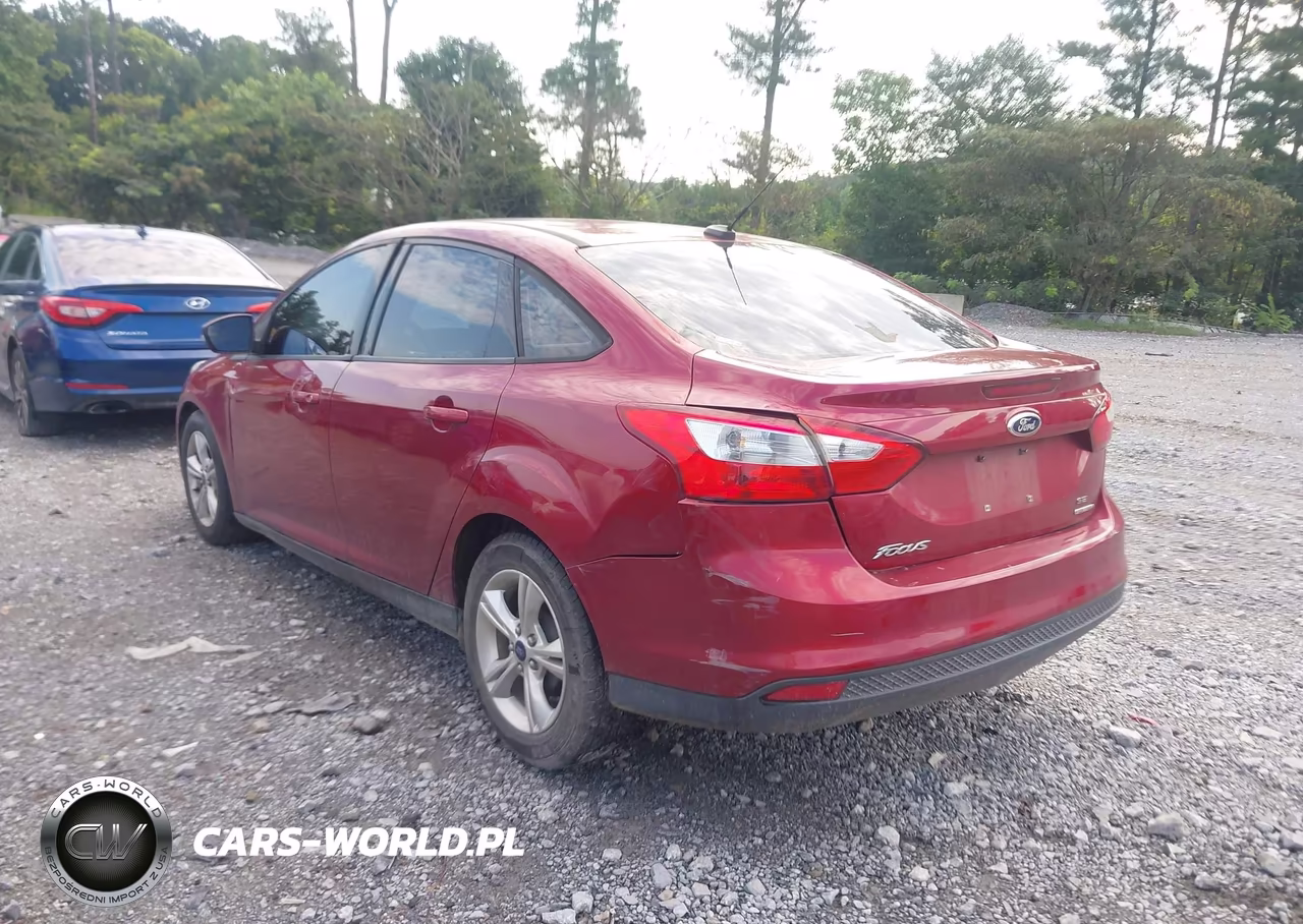 2014 Ford Focus Se VIN:1FADP3F21EL243772 - 3