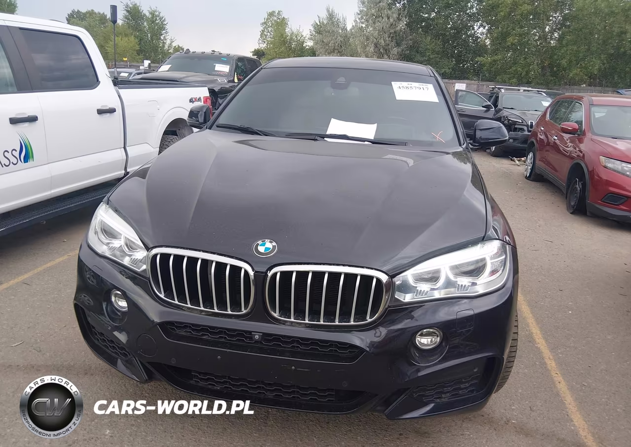 2016 BMW X6 xDrive50I VIN:5UXKU6C5XG0R33937 - 12