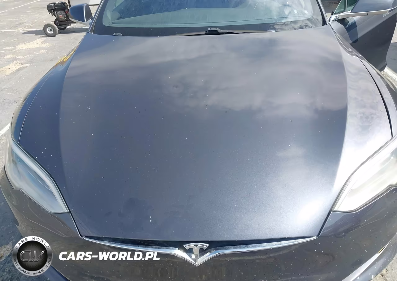 2016 Tesla Model S 60-70-75-85 VIN:5YJSA1E19GF173220 - 10