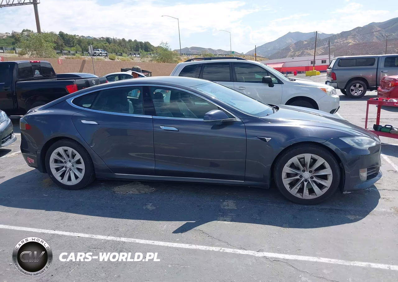 2016 Tesla Model S 60-70-75-85 VIN:5YJSA1E19GF173220 - 13