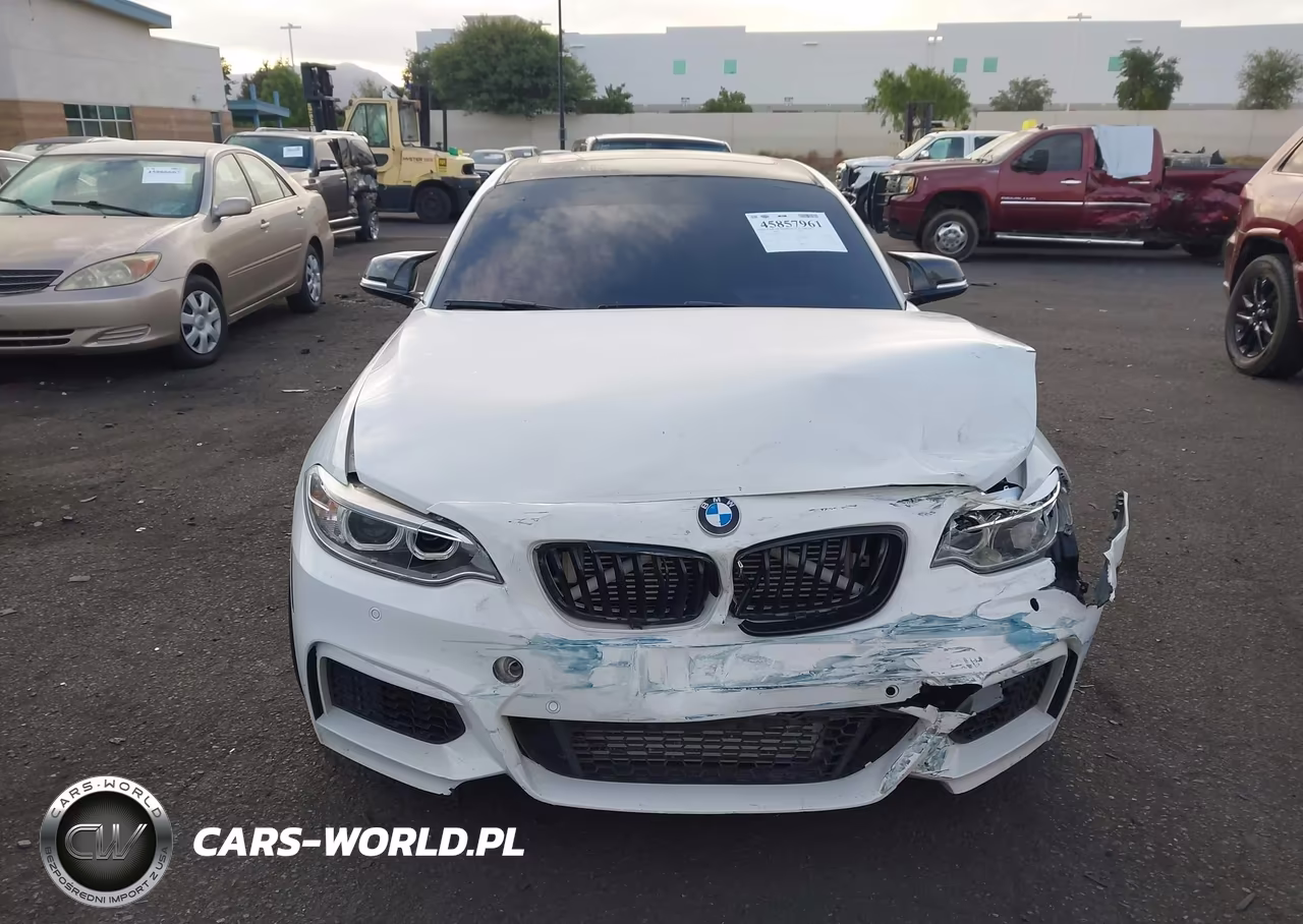 2015 BMW M235 xDrive VIN:WBA1J9C56FVX98946 - 12