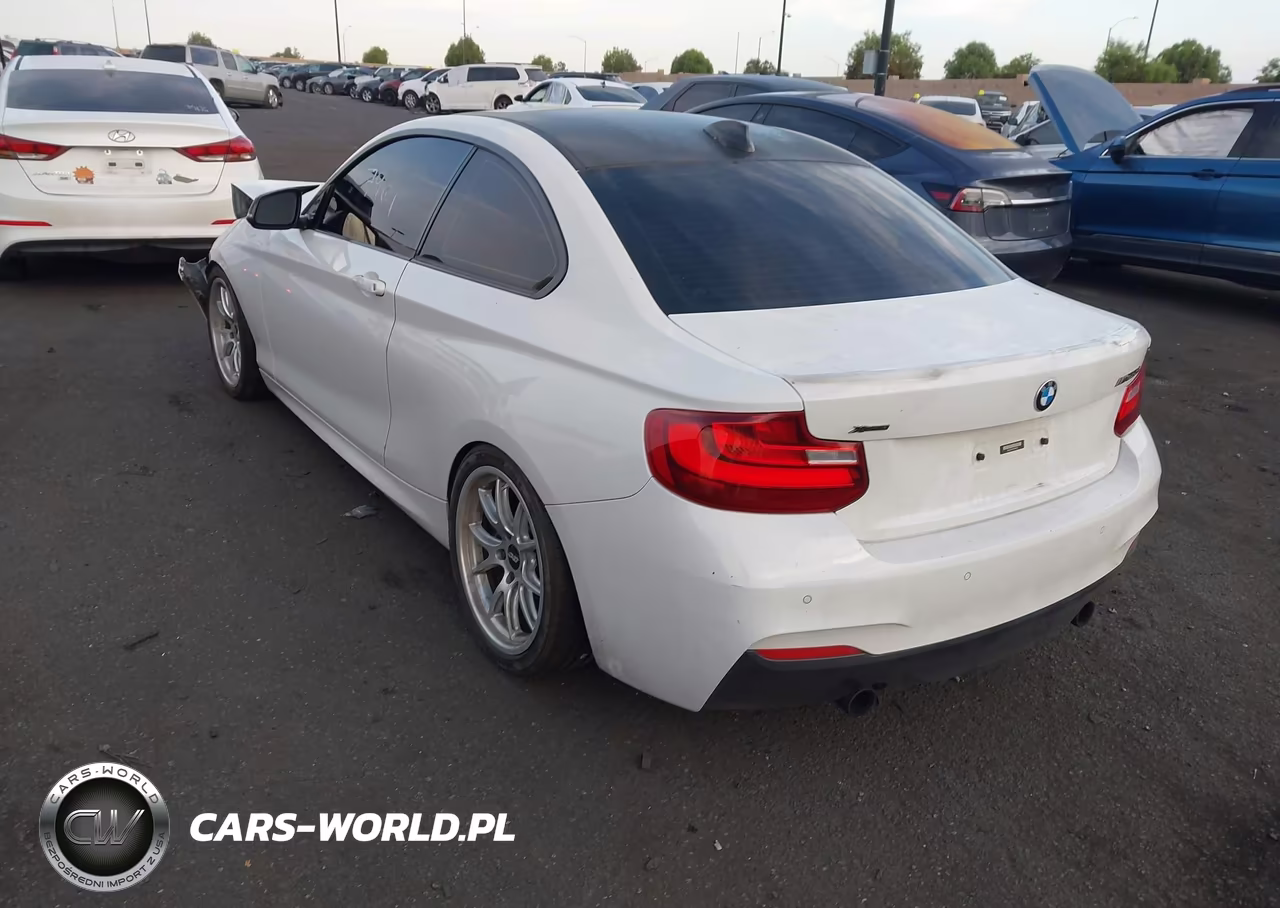 2015 BMW M235 xDrive VIN:WBA1J9C56FVX98946 - 3