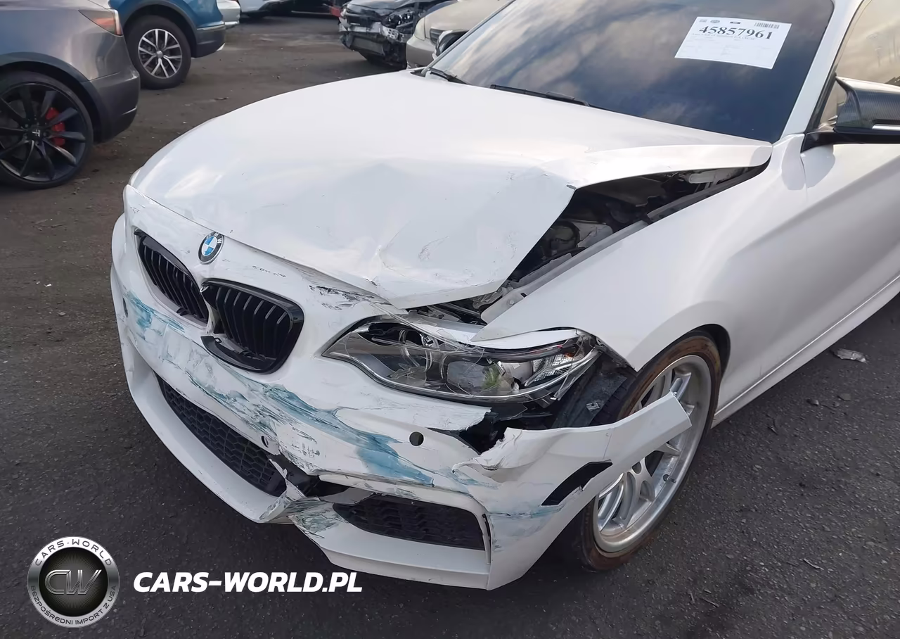 2015 BMW M235 xDrive VIN:WBA1J9C56FVX98946 - 6