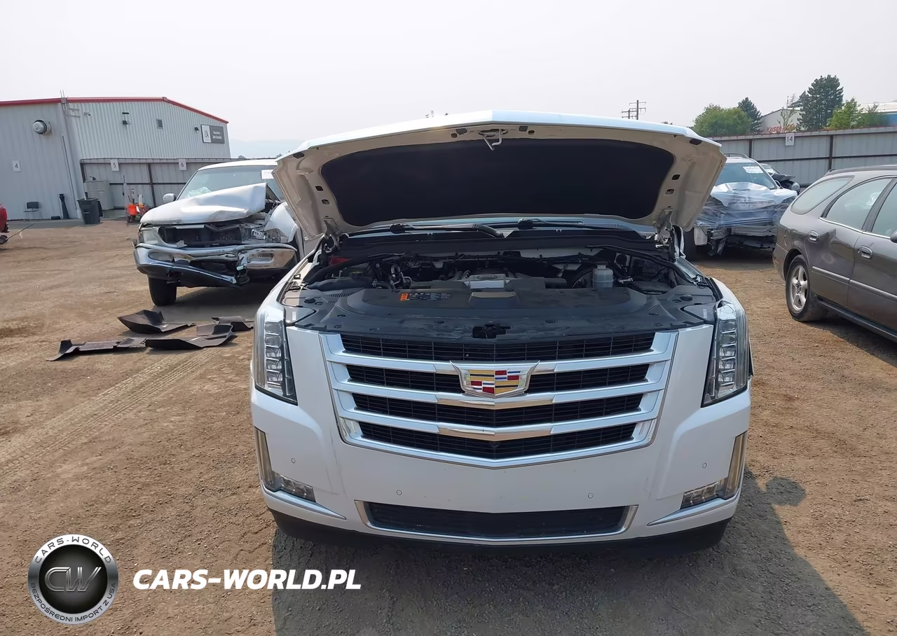 2020 Cadillac Escalade 4Wd Premium Luxury VIN:1GYS4CKJ5LR201486 - 12