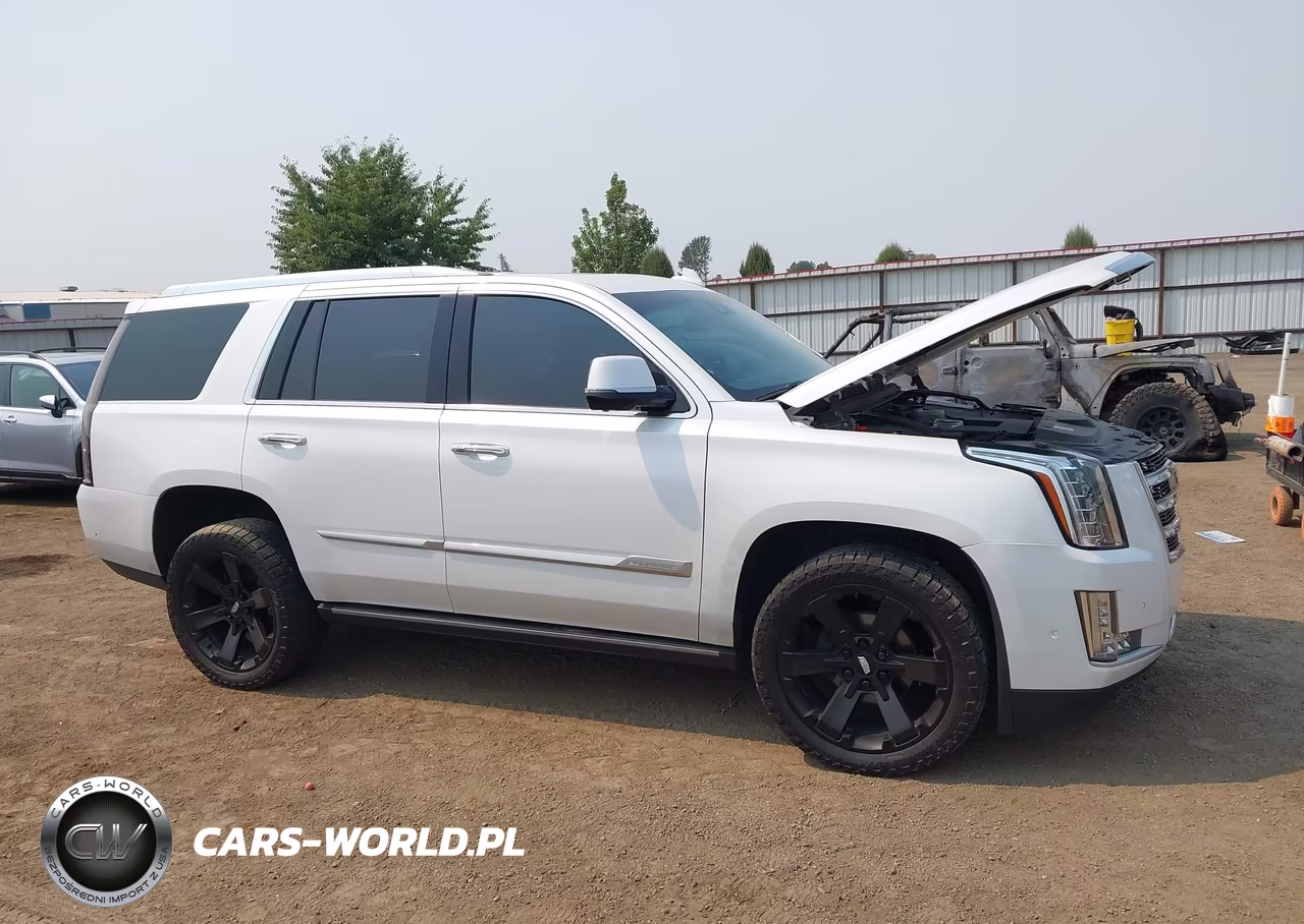 2020 Cadillac Escalade 4Wd Premium Luxury VIN:1GYS4CKJ5LR201486 - 13