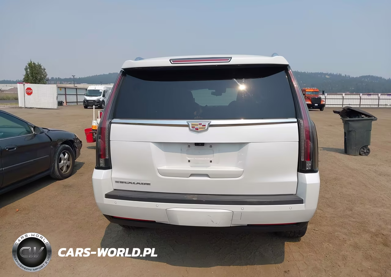 2020 Cadillac Escalade 4Wd Premium Luxury VIN:1GYS4CKJ5LR201486 - 16