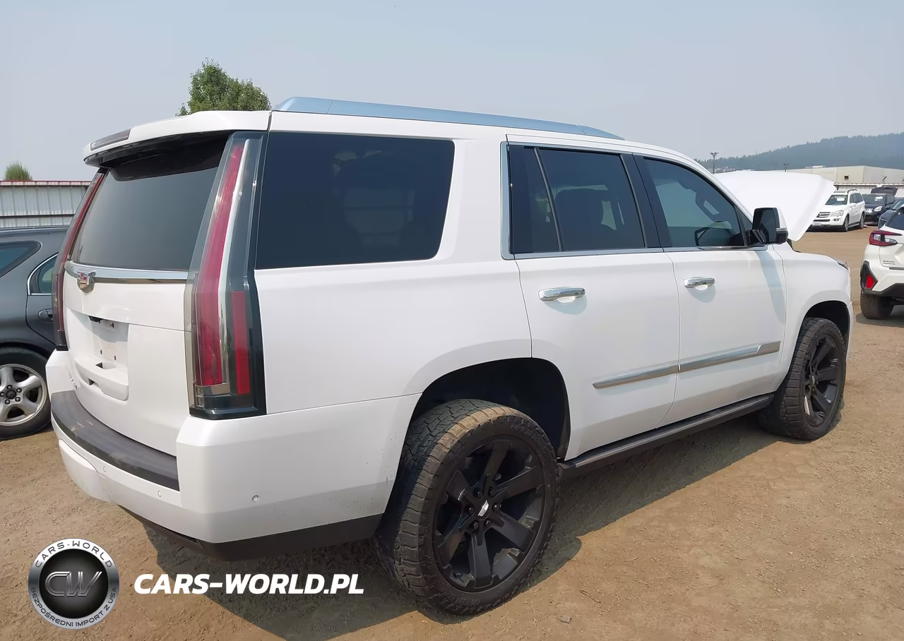 2020 Cadillac Escalade 4Wd Premium Luxury VIN:1GYS4CKJ5LR201486 - 4