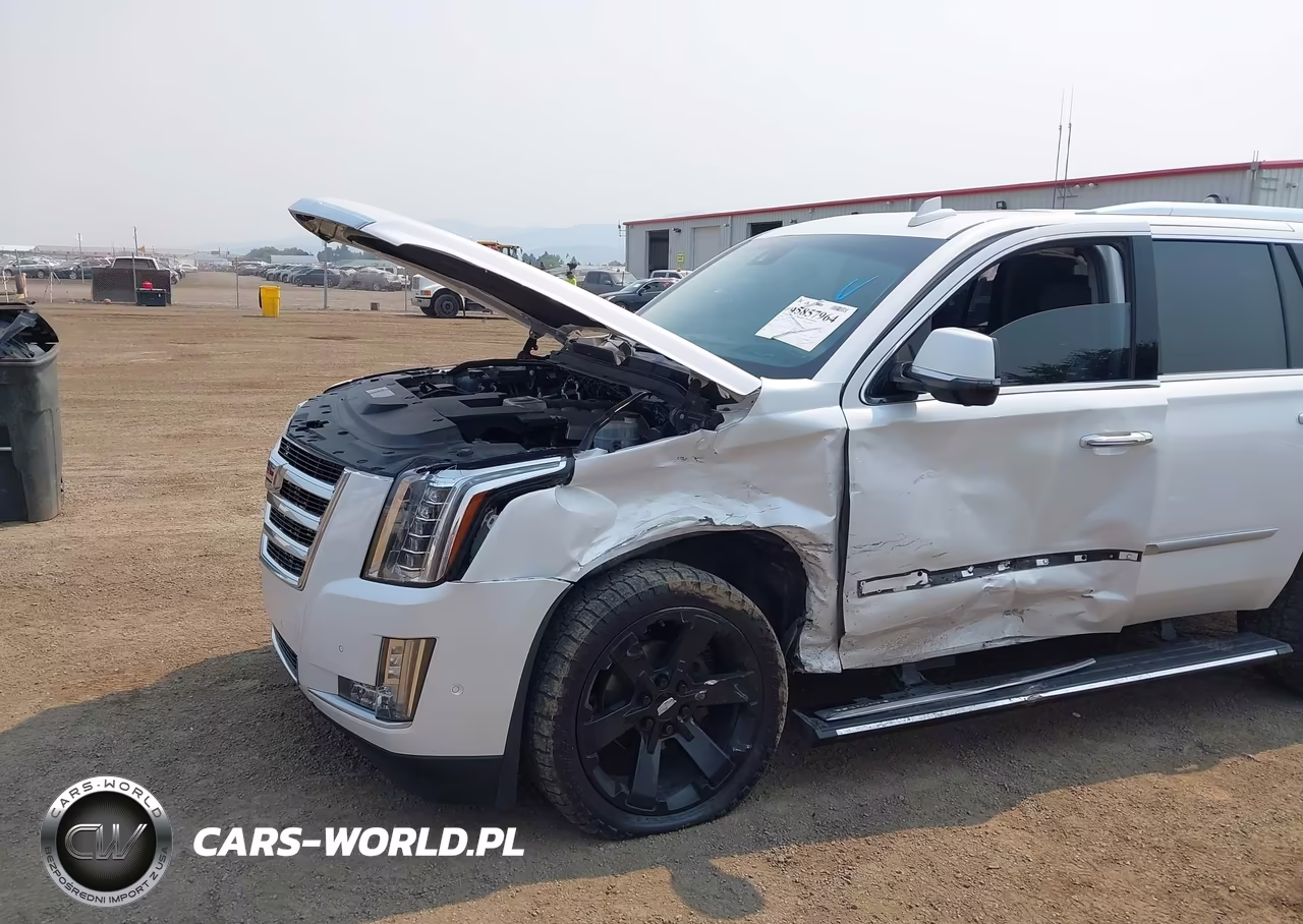 2020 Cadillac Escalade 4Wd Premium Luxury VIN:1GYS4CKJ5LR201486 - 6