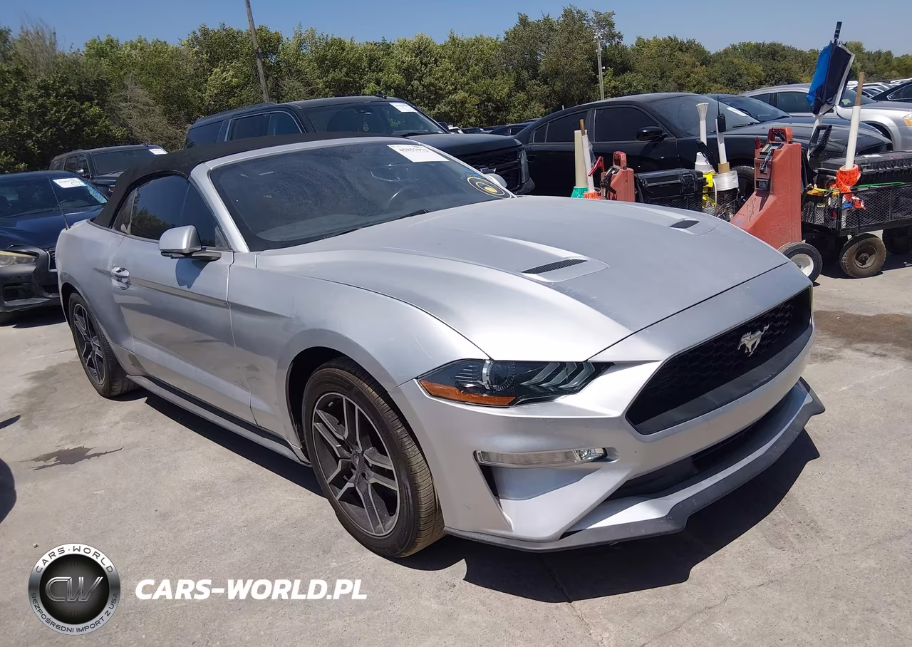 2019 Ford Mustang