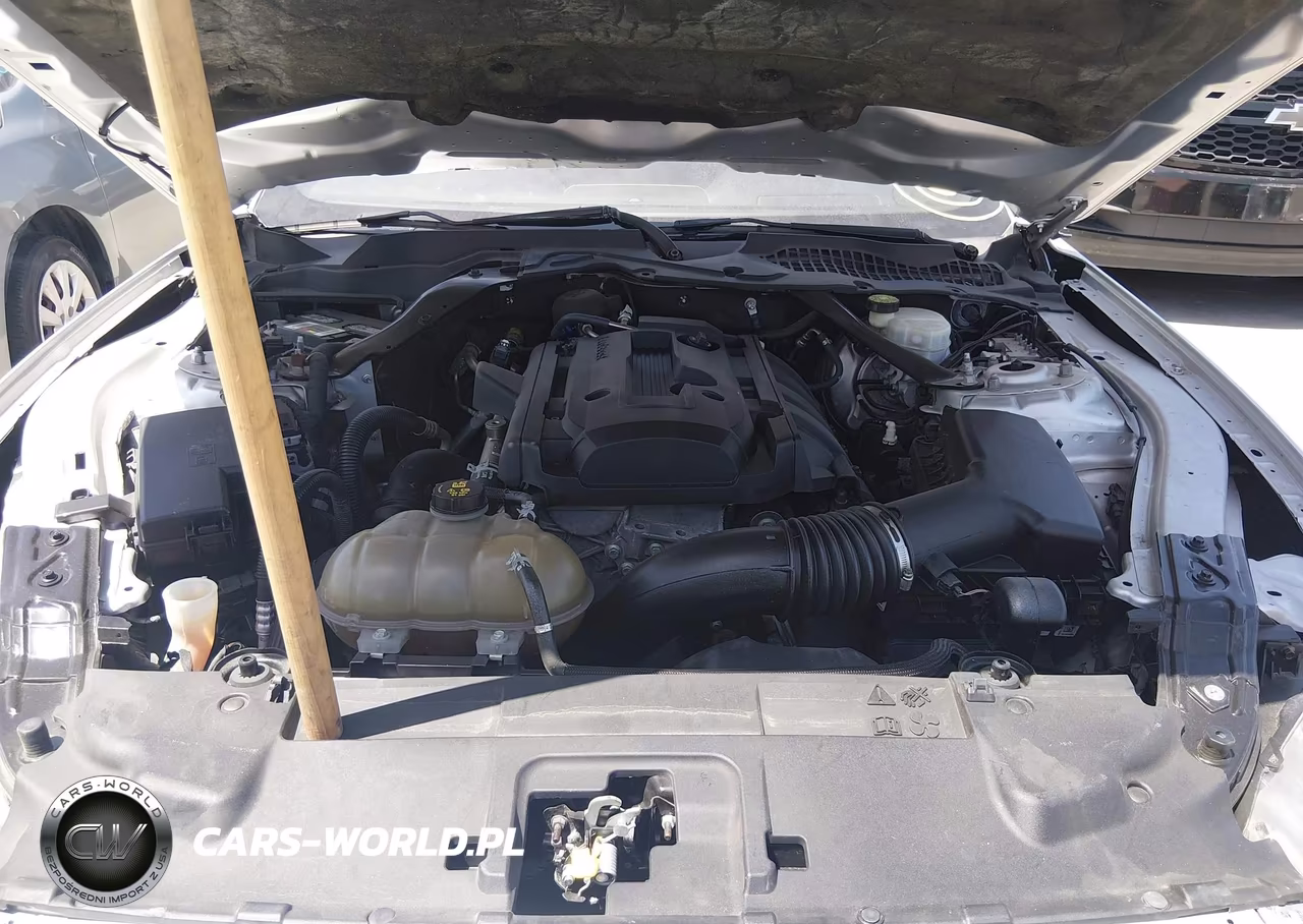 2019 Ford Mustang VIN:1FATP8UH4K5162300 - 10