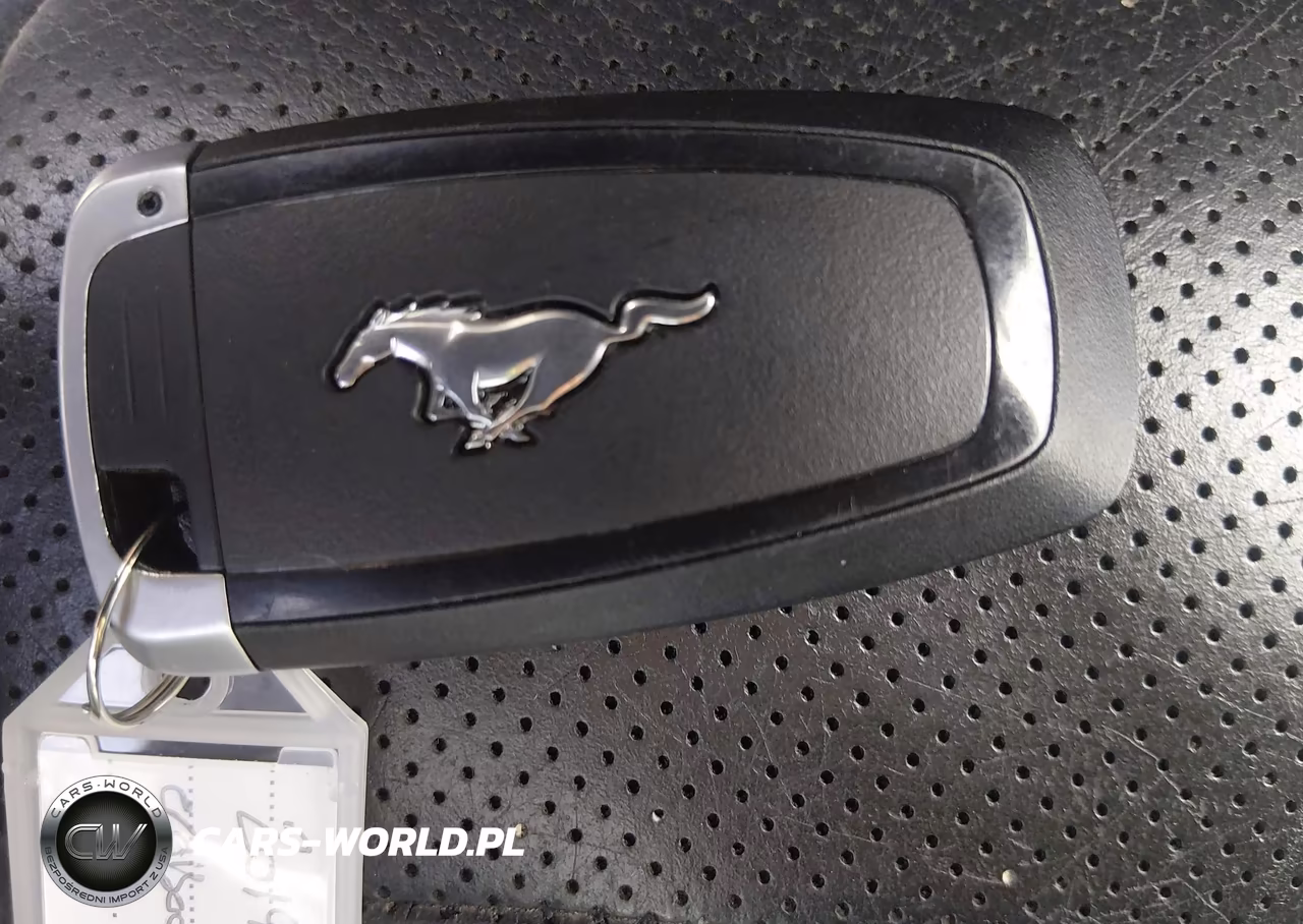 2019 Ford Mustang VIN:1FATP8UH4K5162300 - 11