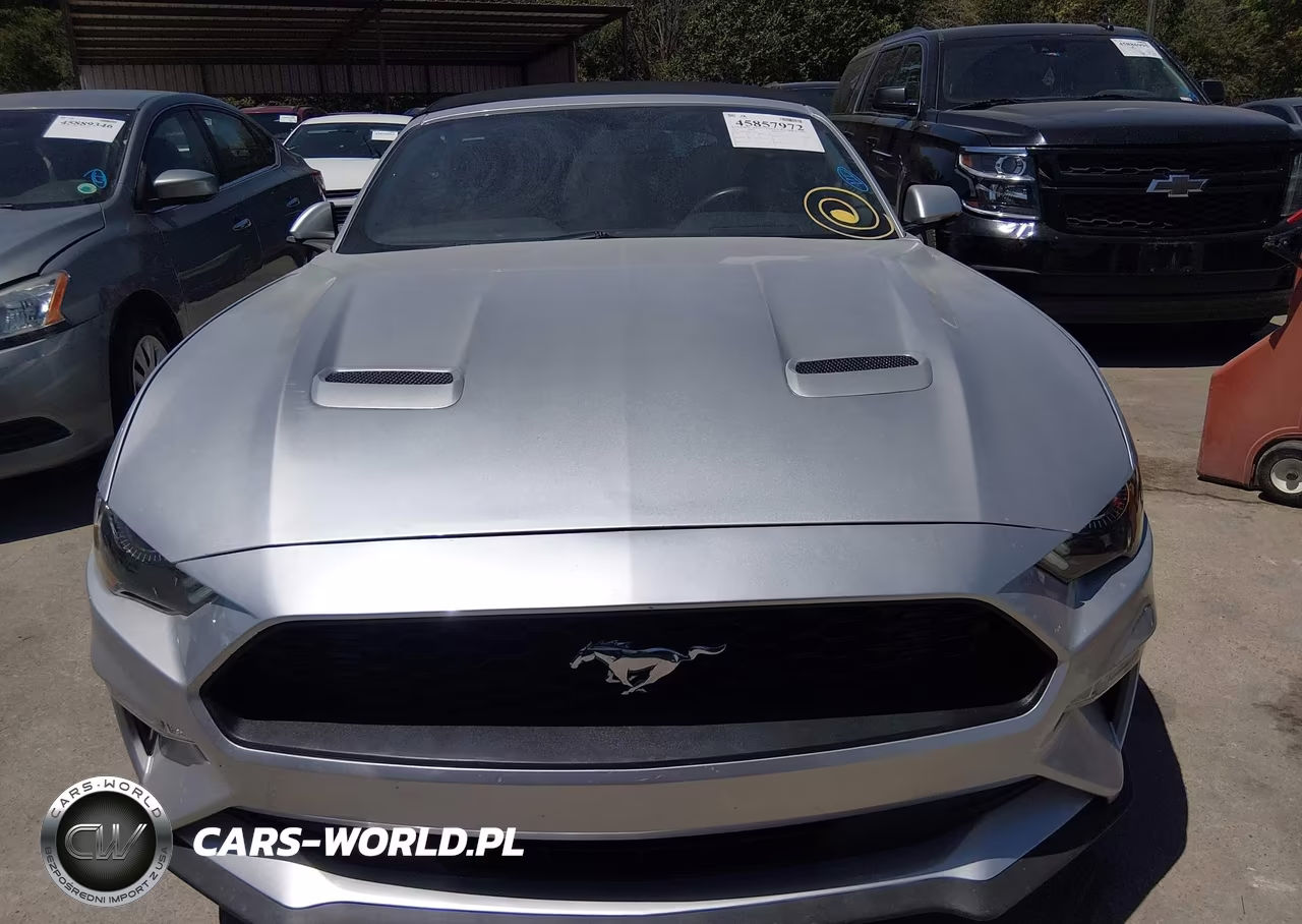 2019 Ford Mustang VIN:1FATP8UH4K5162300 - 12