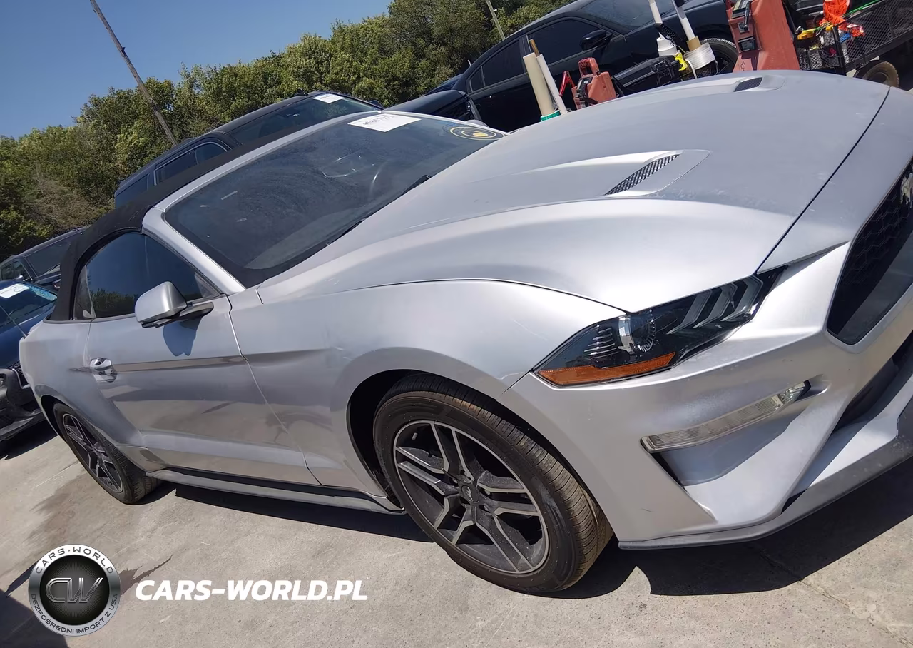 2019 Ford Mustang VIN:1FATP8UH4K5162300 - 13
