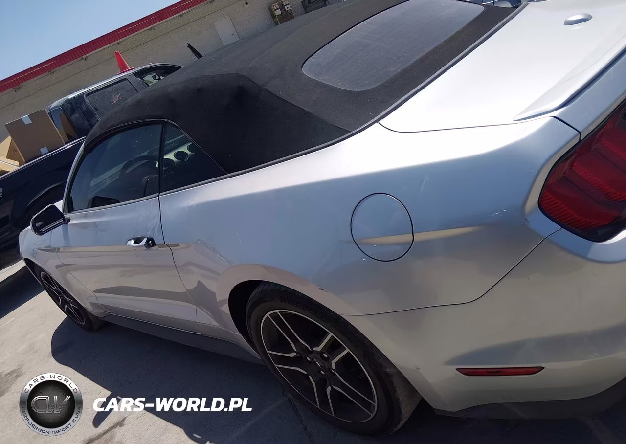 2019 Ford Mustang VIN:1FATP8UH4K5162300 - 14