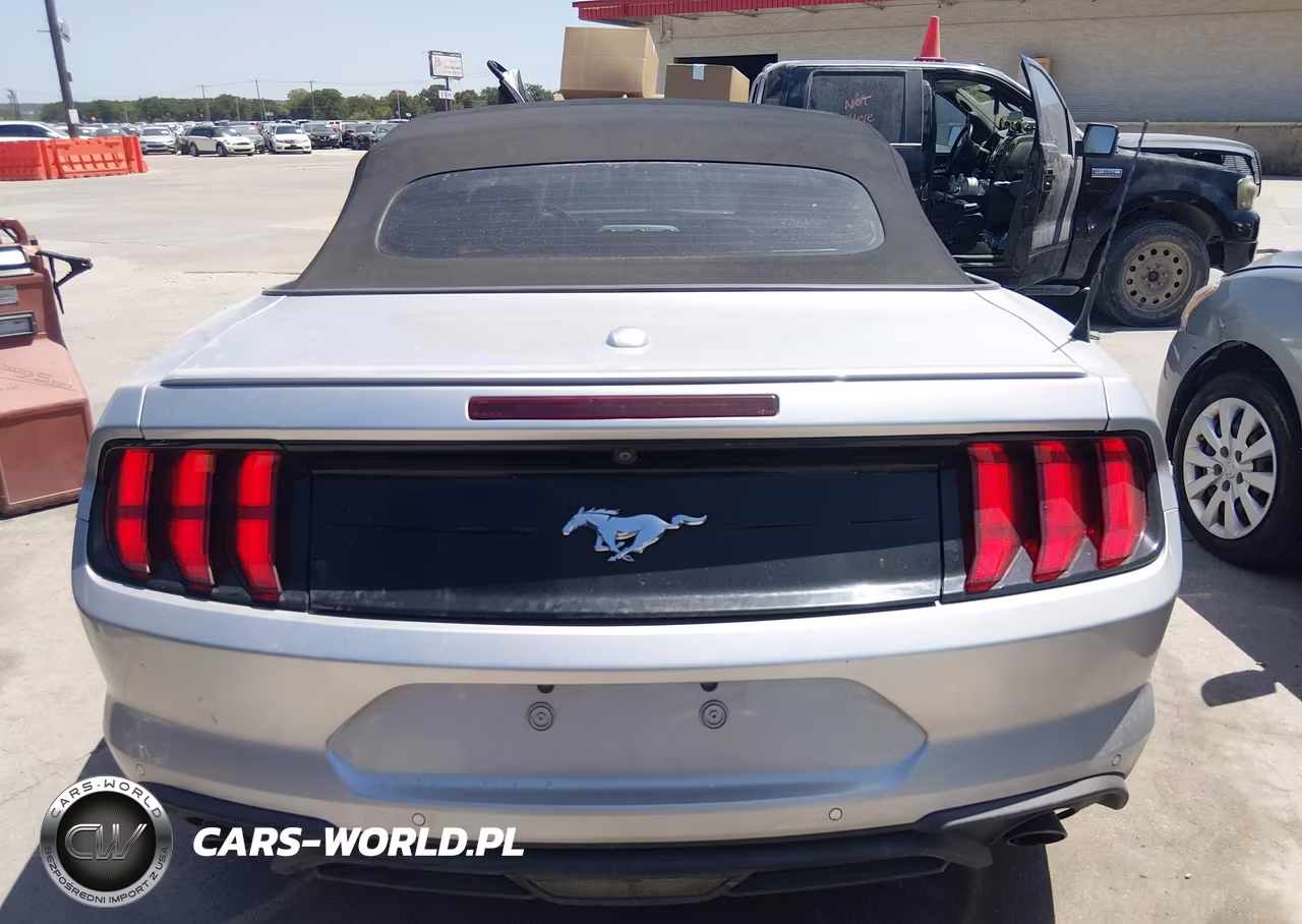 2019 Ford Mustang VIN:1FATP8UH4K5162300 - 16