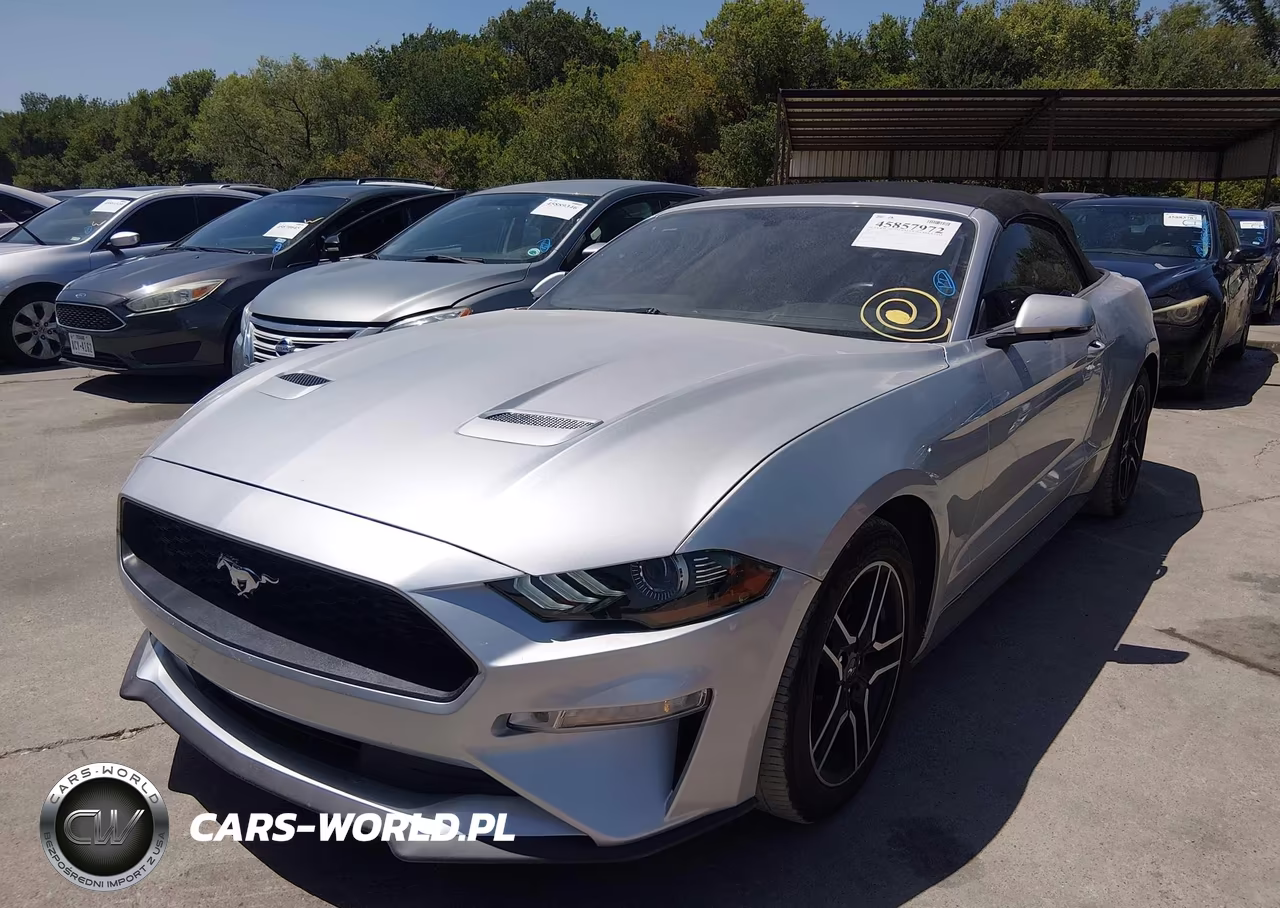 2019 Ford Mustang VIN:1FATP8UH4K5162300 - 2