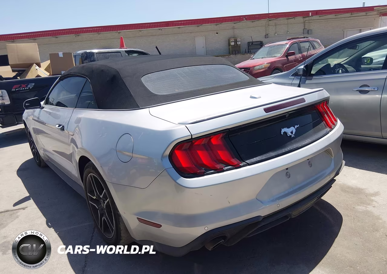 2019 Ford Mustang VIN:1FATP8UH4K5162300 - 3