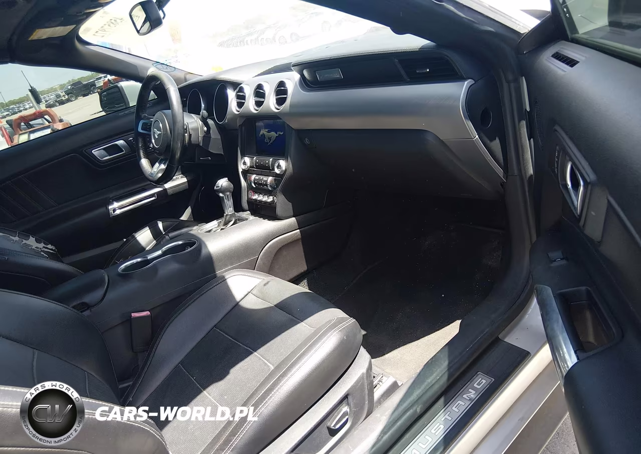 2019 Ford Mustang VIN:1FATP8UH4K5162300 - 5