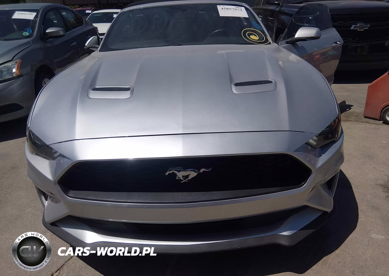 2019 Ford Mustang VIN:1FATP8UH4K5162300 - 6