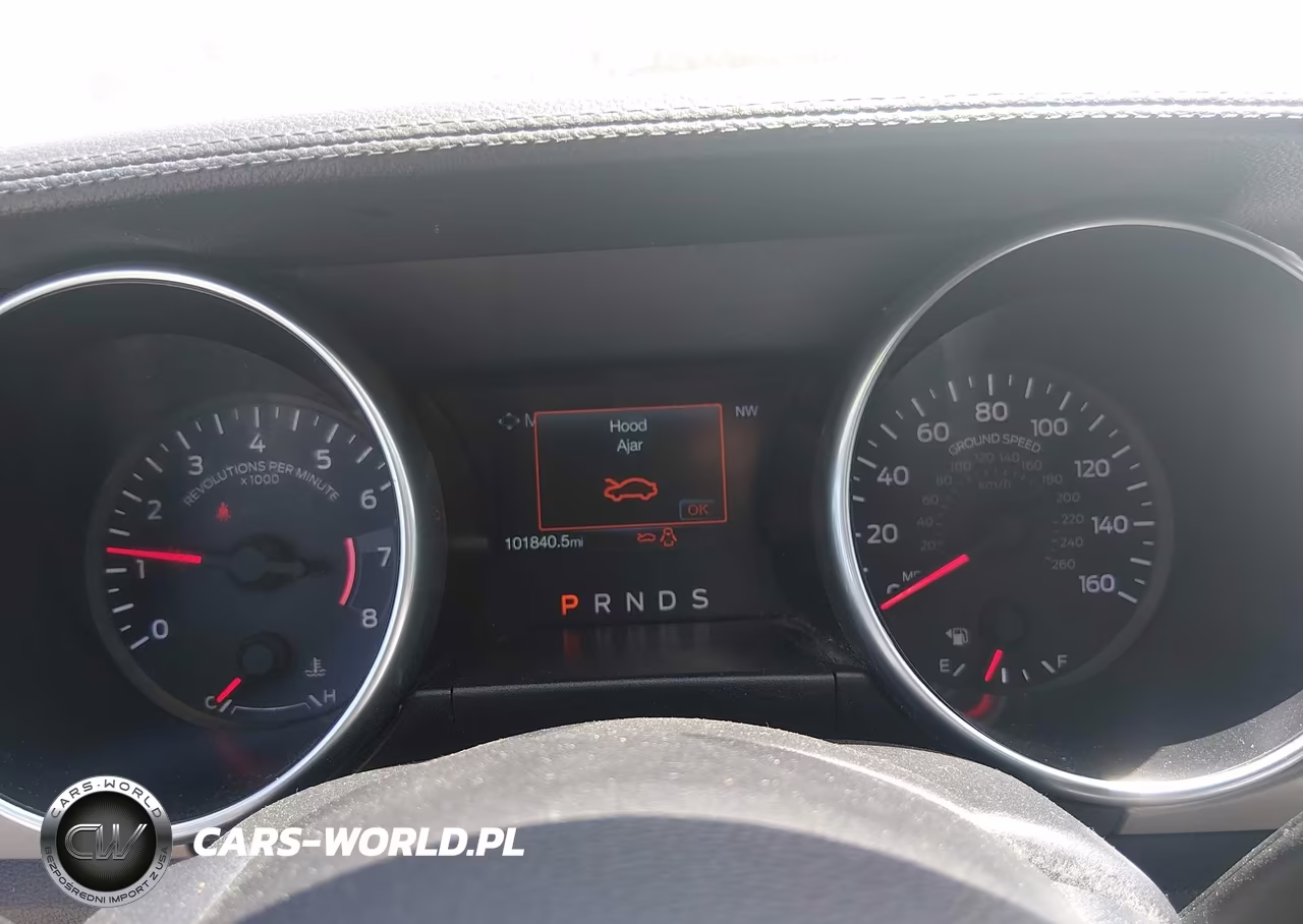 2019 Ford Mustang VIN:1FATP8UH4K5162300 - 7