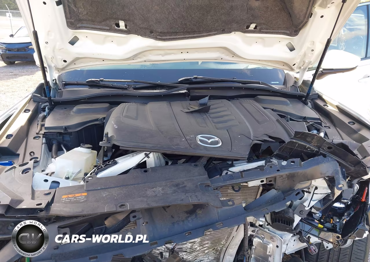 2024 Mazda Cx-90 3.3 Turbo S Premium Plus VIN:JM3KKEHC6R1126618 - 10
