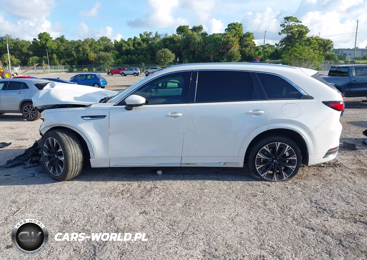 2024 Mazda Cx-90 3.3 Turbo S Premium Plus VIN:JM3KKEHC6R1126618 - 14