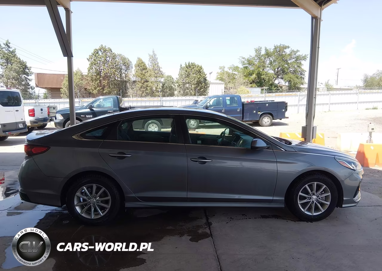 2019 Hyundai Sonata Eco VIN:5NPE24AA0KH802147 - 14