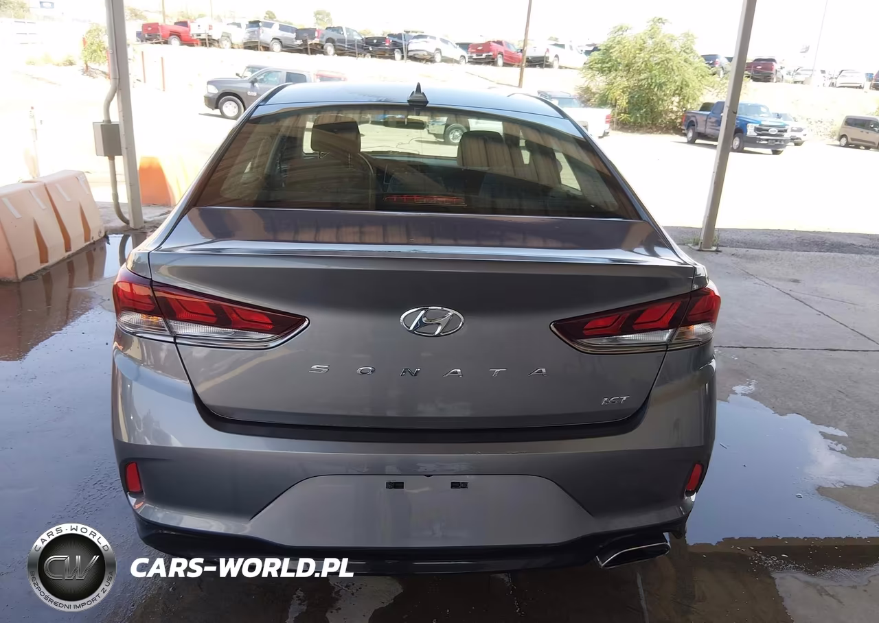 2019 Hyundai Sonata Eco VIN:5NPE24AA0KH802147 - 17