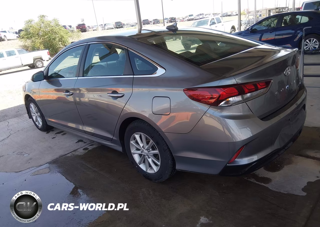 2019 Hyundai Sonata Eco VIN:5NPE24AA0KH802147 - 3