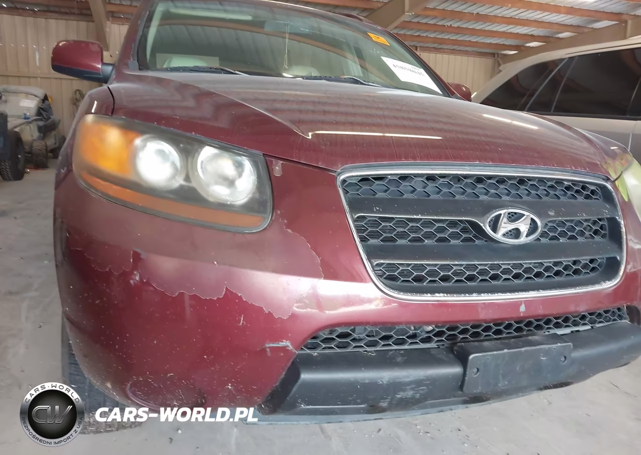 2007 Hyundai Santa Fe Gls VIN:5NMSG13D17H127181 - 16