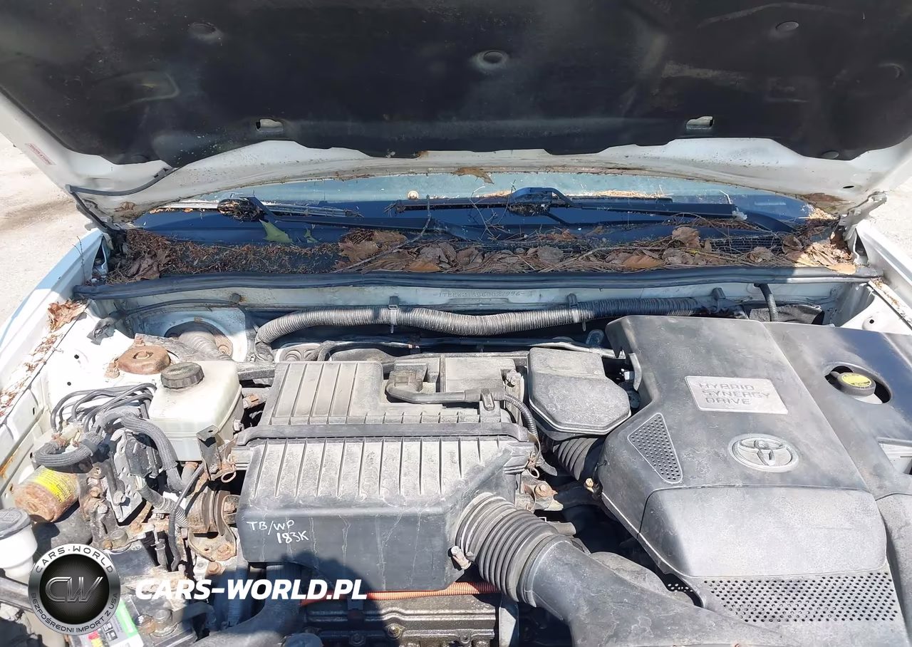2006 Toyota Highlander Hybrid V6 VIN:JTEEW21A560027996 - 10