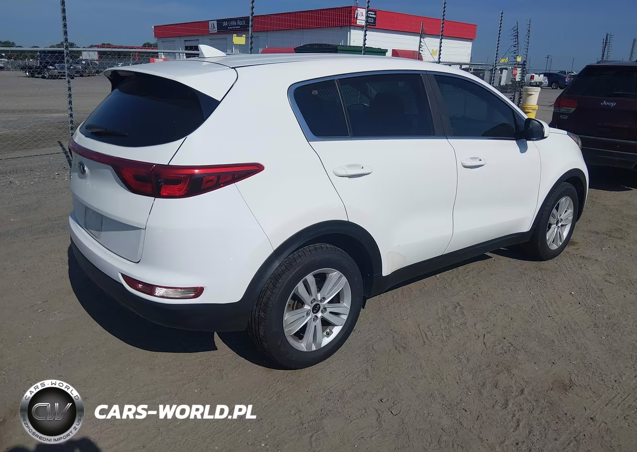 2017 Kia Sportage Lx VIN:KNDPM3AC0H7106125 - 4