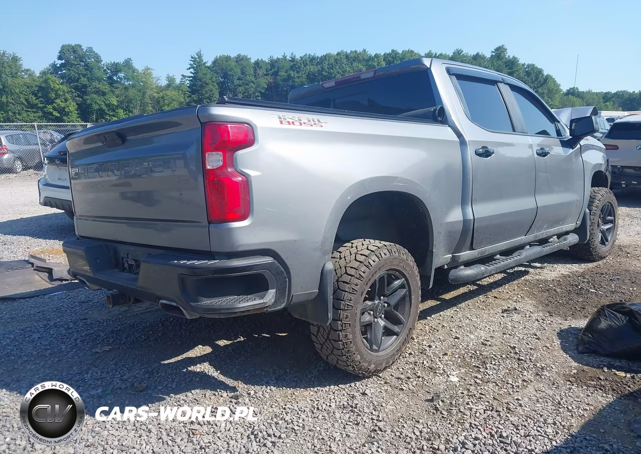 2020 Chevrolet Silverado 1500 4Wd Short Bed Lt Trail Boss VIN:3GCPYFEL6LG335227 - 4