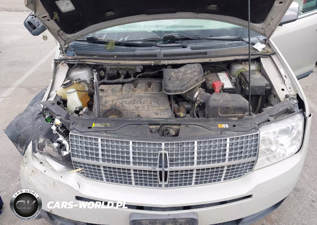 2007 Lincoln Mkx VIN:2LMDU88C77BJ09602 - 10