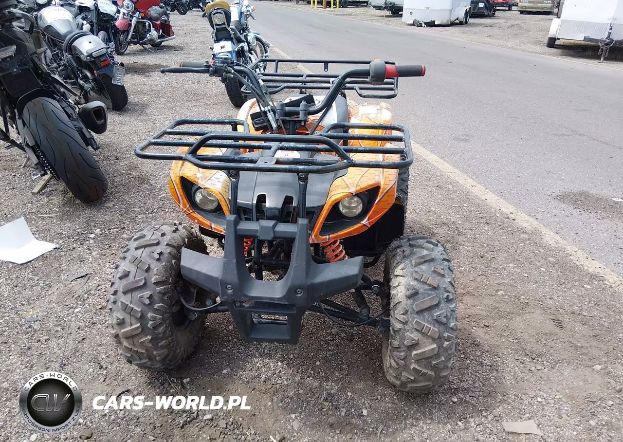 2021 Coolster Atv VIN:L6ZSCJLA6M1010954 - 12