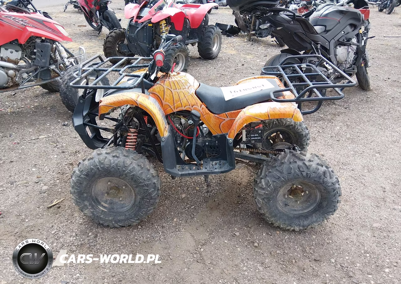 2021 Coolster Atv VIN:L6ZSCJLA6M1010954 - 14