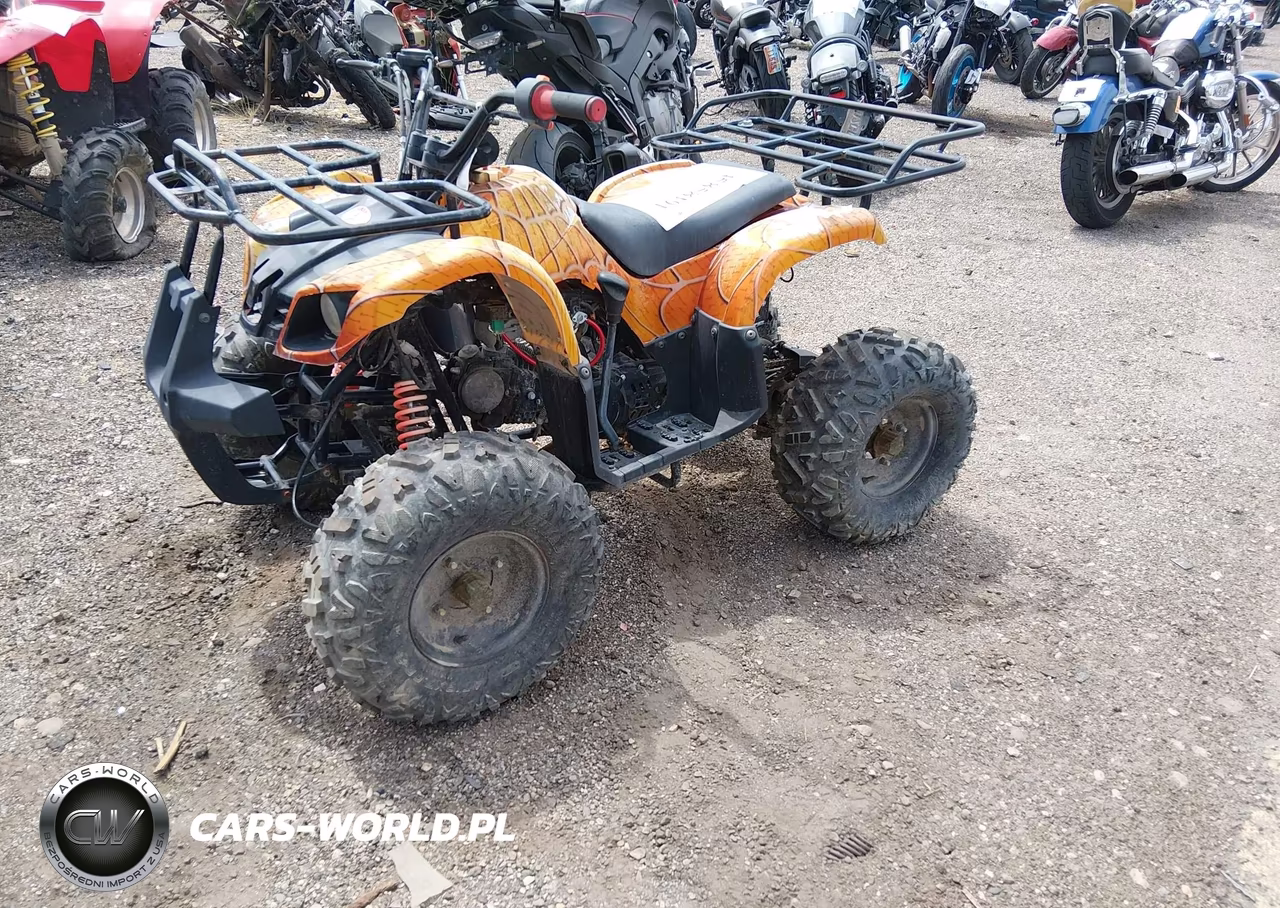 2021 Coolster Atv VIN:L6ZSCJLA6M1010954 - 2