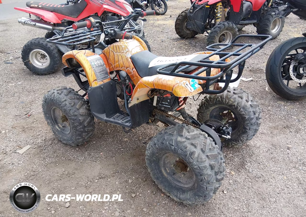 2021 Coolster Atv VIN:L6ZSCJLA6M1010954 - 3