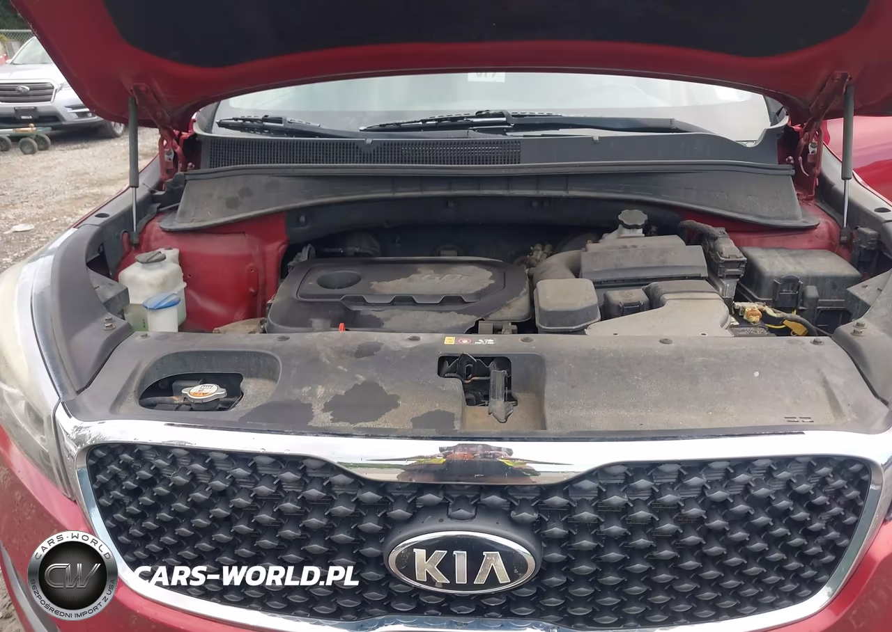 2016 Kia Sorento 2.4L Lx VIN:5XYPGDA37GG099673 - 10