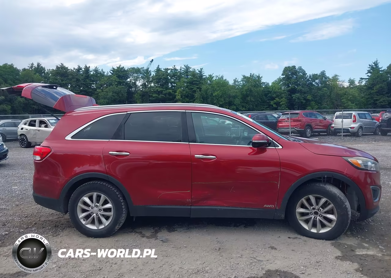 2016 Kia Sorento 2.4L Lx VIN:5XYPGDA37GG099673 - 13