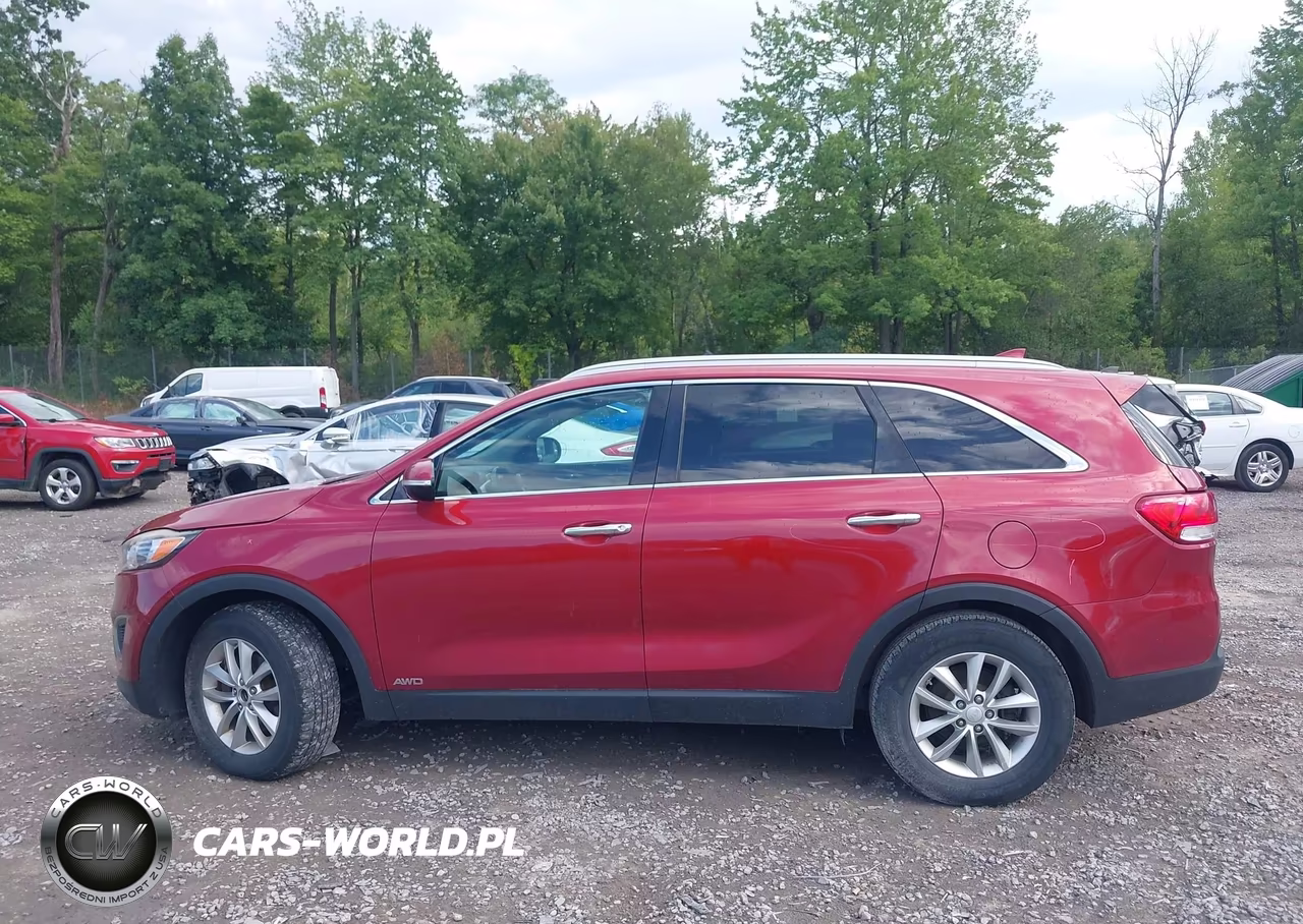 2016 Kia Sorento 2.4L Lx VIN:5XYPGDA37GG099673 - 14
