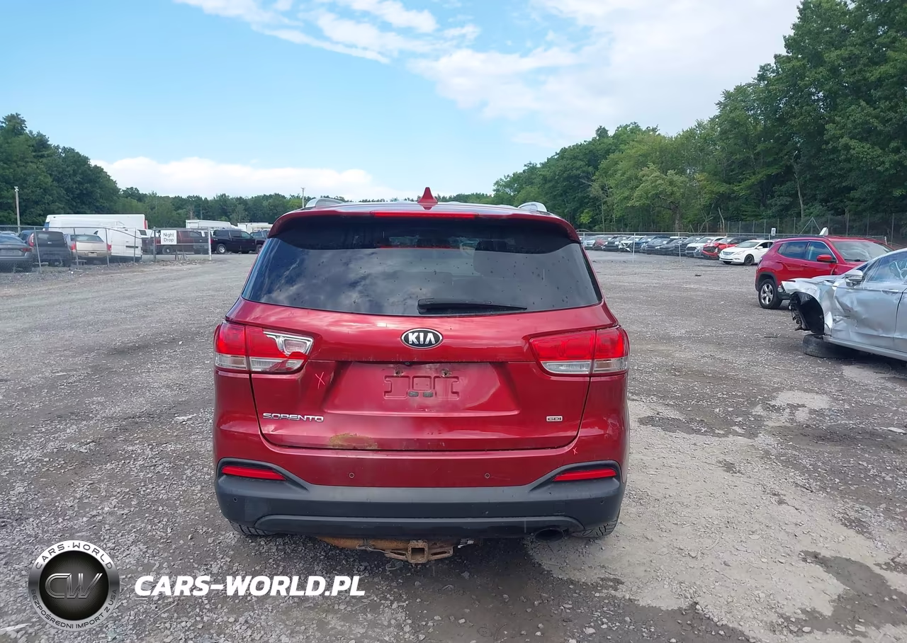 2016 Kia Sorento 2.4L Lx VIN:5XYPGDA37GG099673 - 16