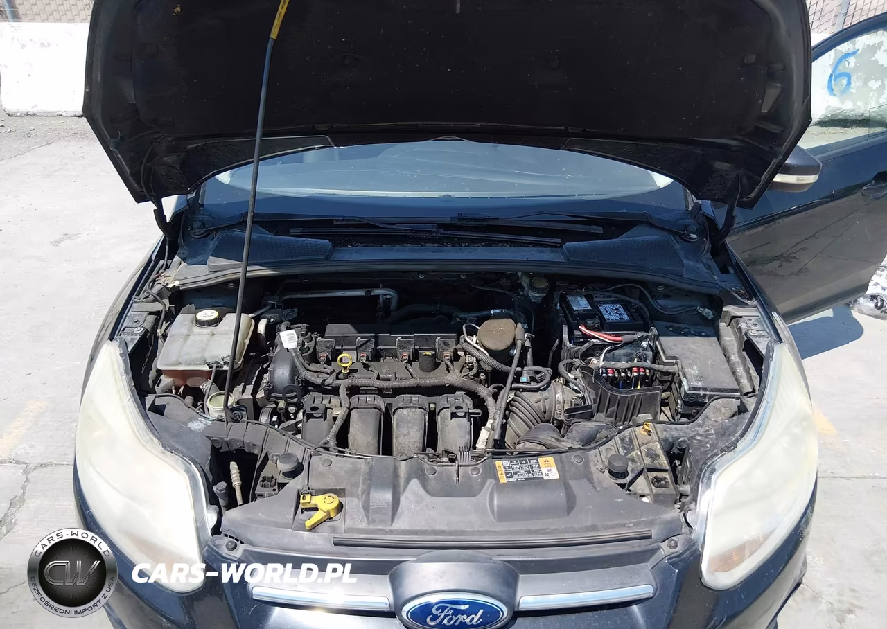 2014 Ford Focus Se VIN:1FADP3F21EL399701 - 10