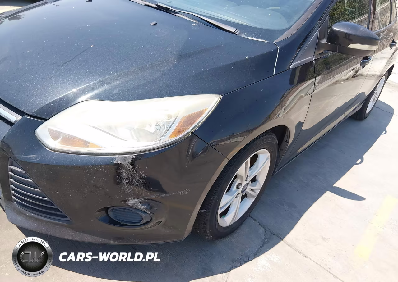 2014 Ford Focus Se VIN:1FADP3F21EL399701 - 15