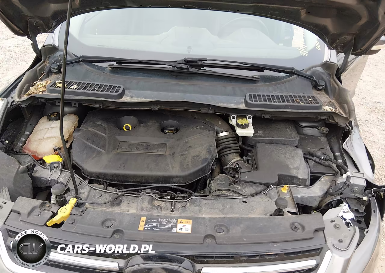 2014 Ford Escape Titanium VIN:1FMCU9J92EUE40445 - 10