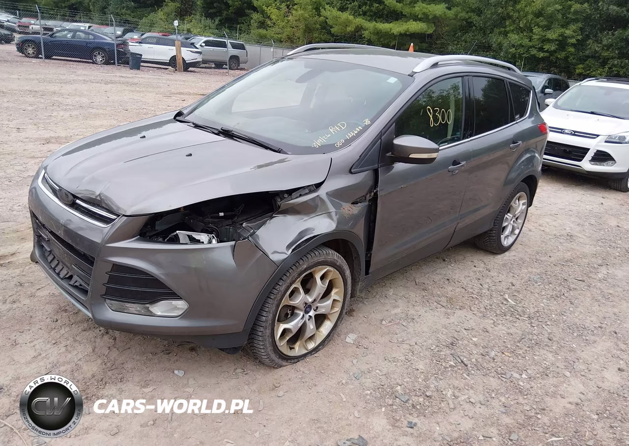 2014 Ford Escape Titanium VIN:1FMCU9J92EUE40445 - 2