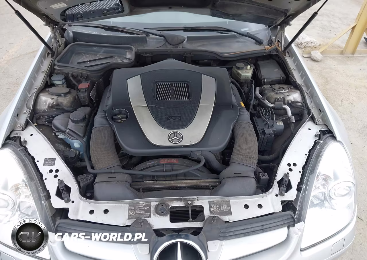 2006 Mercedes-Benz Slk 350 VIN:WDBWK56F96F081128 - 10