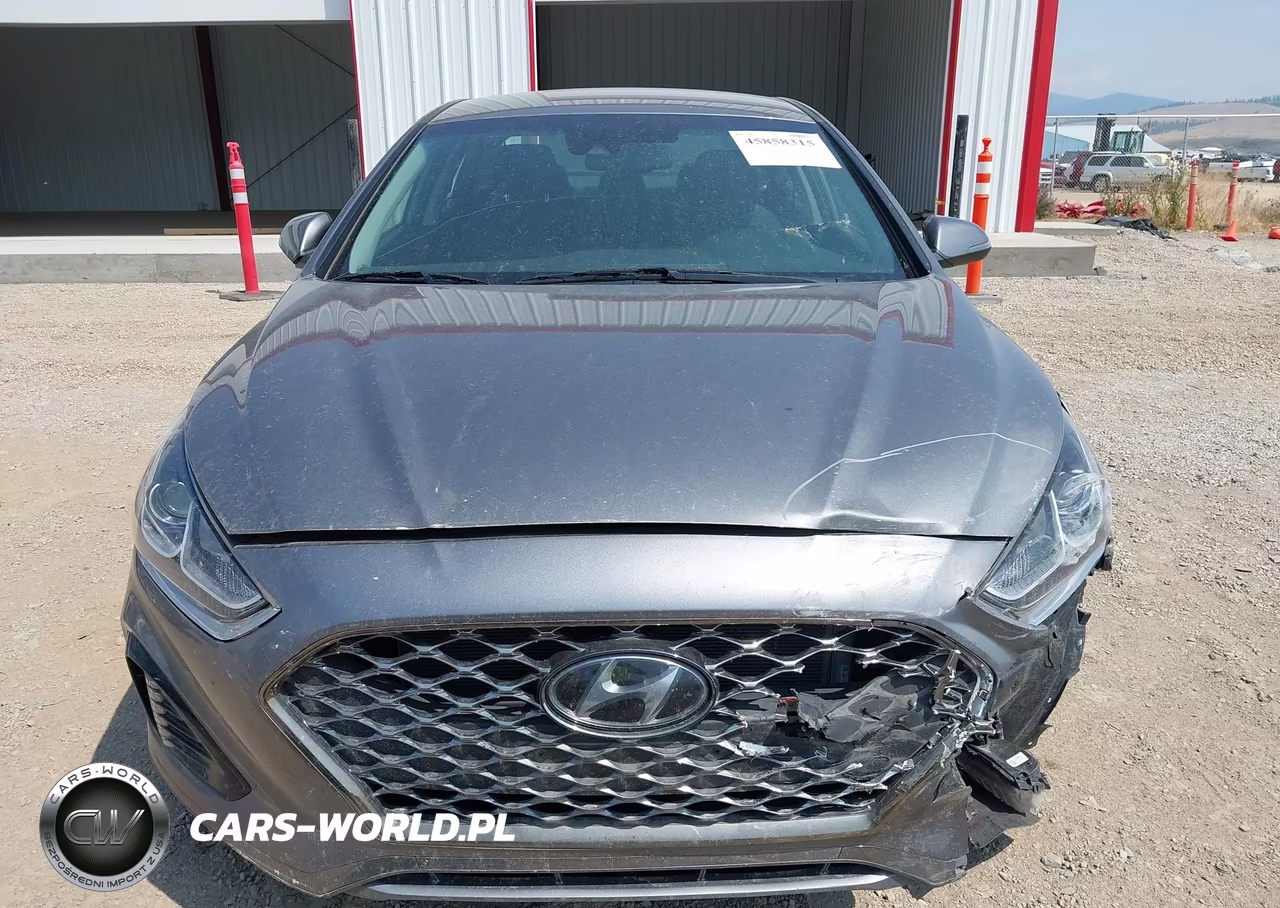 2019 Hyundai Sonata Sel VIN:5NPE34AF5KH792725 - 12