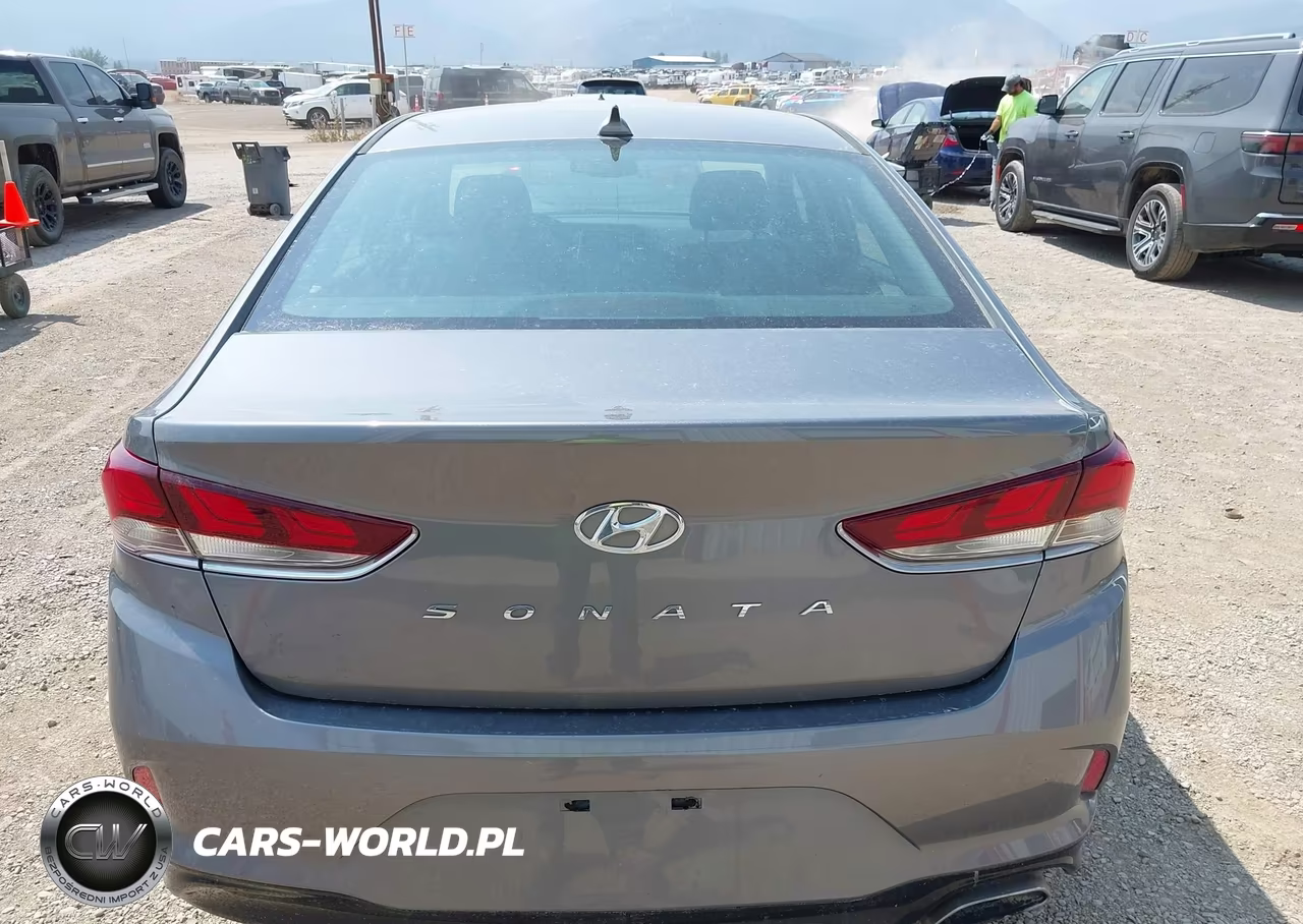 2019 Hyundai Sonata Sel VIN:5NPE34AF5KH792725 - 16