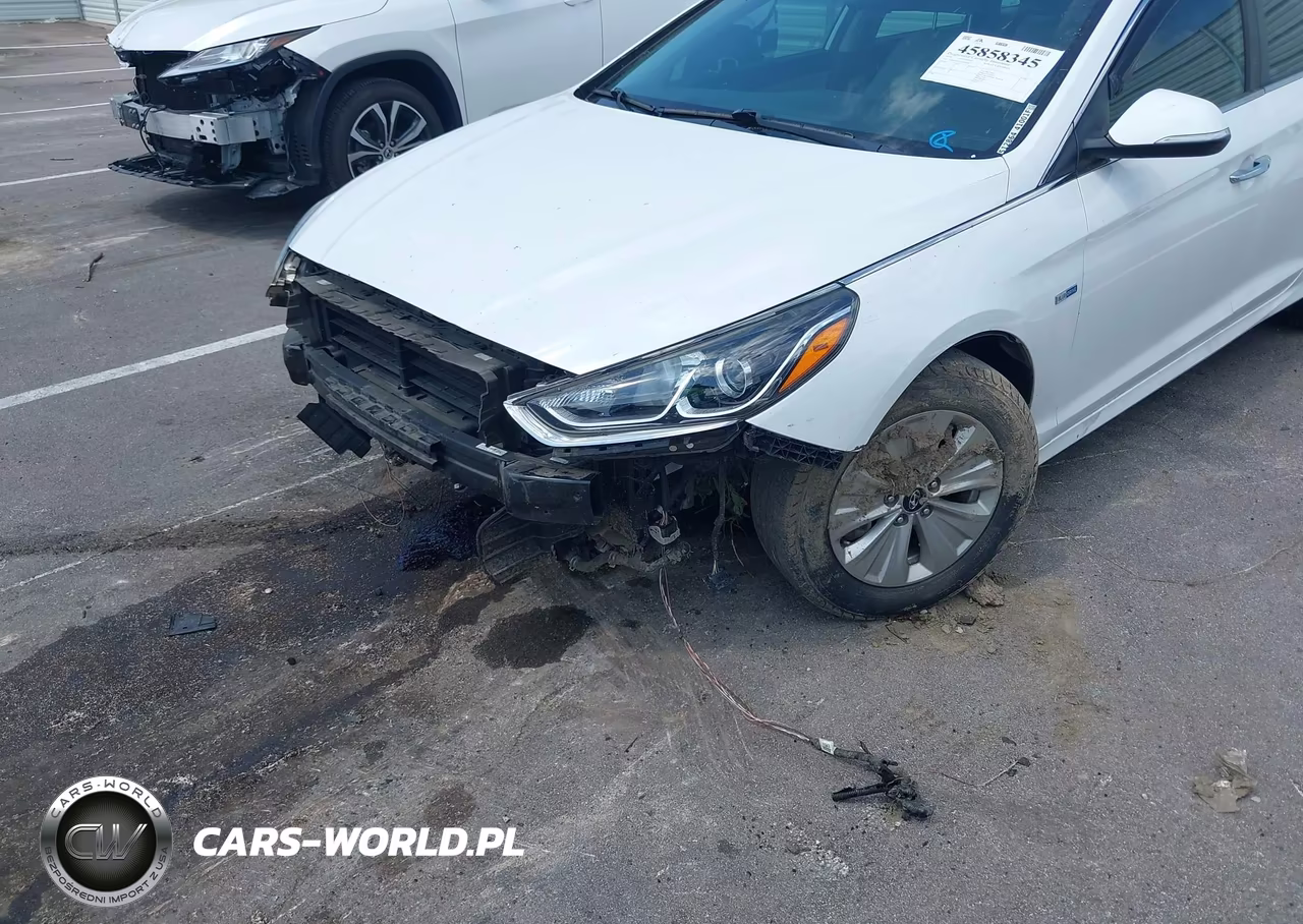 2019 Hyundai Sonata Hybrid Se VIN:KMHE24L32KA089513 - 12